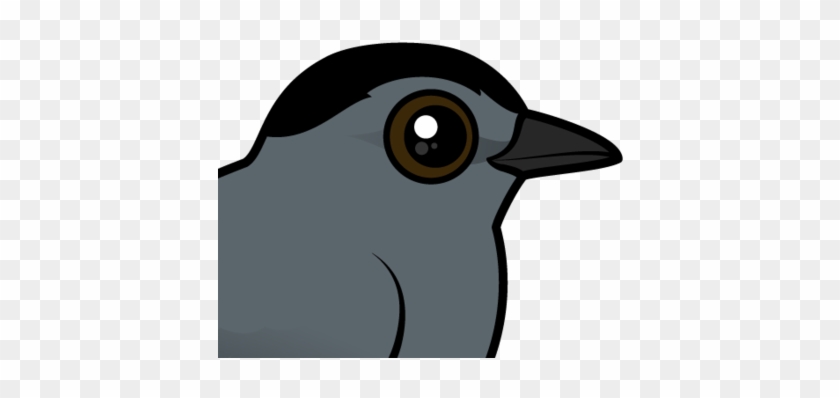 Also Known As - Birdorable Gray Catbird Wristlet, Women's, Blanched #1026172