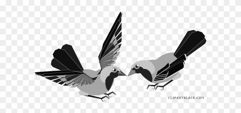 Nice Bird Animal Free Black White Clipart Images Clipartblack - Clip Art #1026175