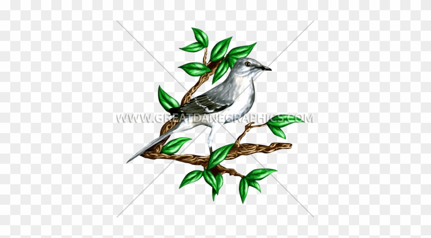 Mockingbird - Wildlife - Mockingbird Posing Portrait Baseball Sleeve #1026189