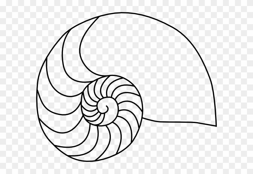 Navy Blue Nautilus Shell Clip - Nautilus Shell Clip Art #1026323