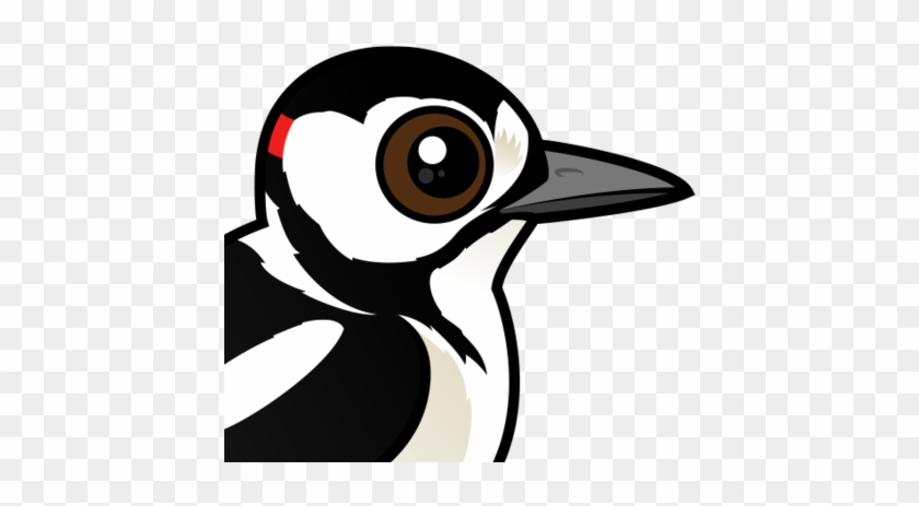 About The Great Spotted Woodpecker - Zazzle Birdorable Great Spotted Woodpecker Photo Ring, #1026325