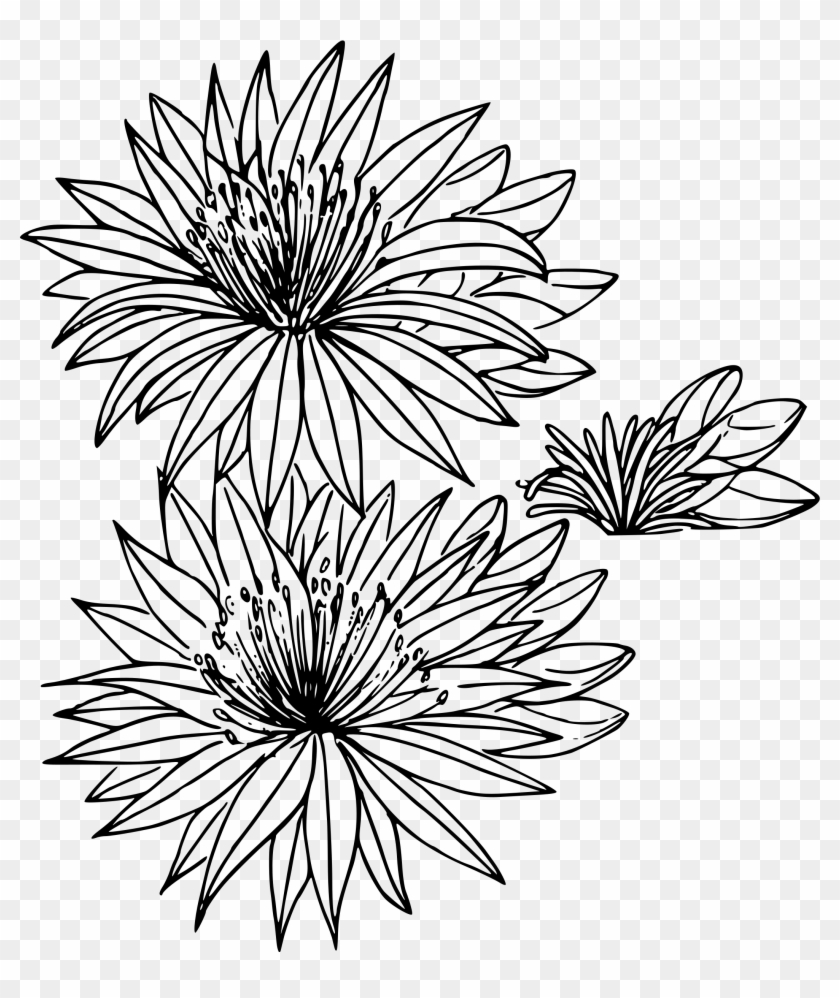 Clipart - Montana State Flower #1026412