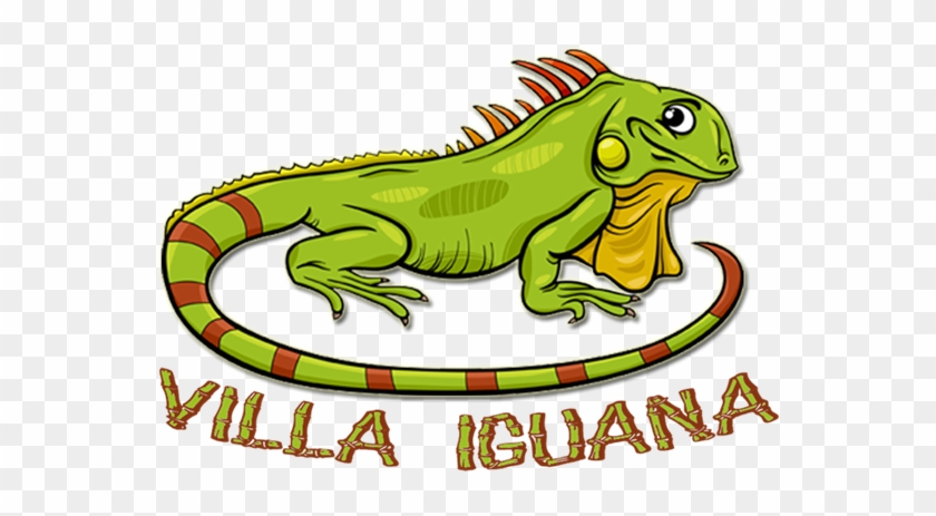 Com Free, Format Top, - Iguana Para Logo #1026572
