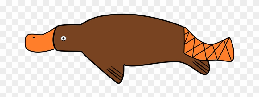 Duck-billed Platypus Platypus Duck Billed - Ornitorrinco Png #1026576