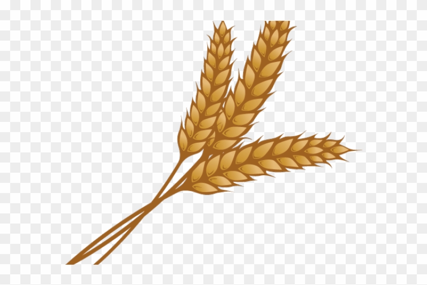 Wheat Clipart Single Piece - Wheat Grain Clip Art #1026598
