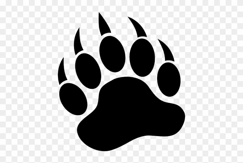 Bear Tracks - Bear Paw Vector Free #1026601