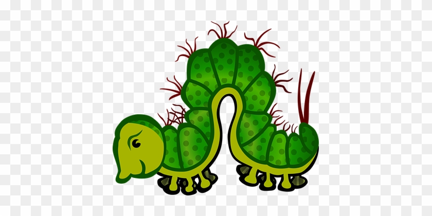 Animal Caterpillar Insect Caterpillar Cate - Caterpillars Clip Art #1026631