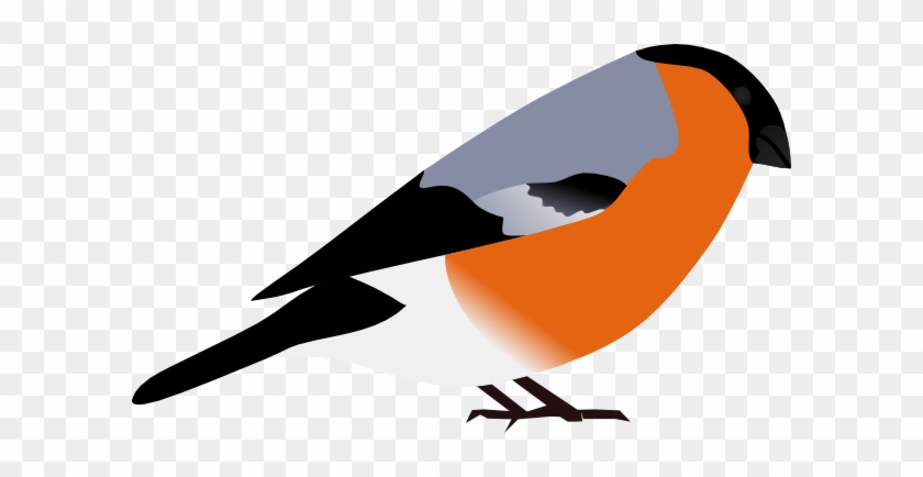 Bullfinch Svg Clip Arts 600 X 354 Px - Bullfinch Clipart #178808