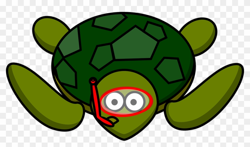 Turtle Animal Nature Water Wildlife Green - Cartoon Turtle Png #178812