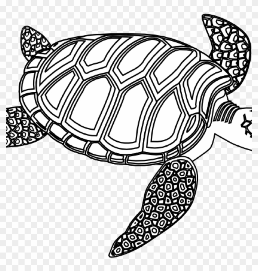 Sea Turtle Clipart Black And White Pin Adile Demirci - Turtle Black And White #178824