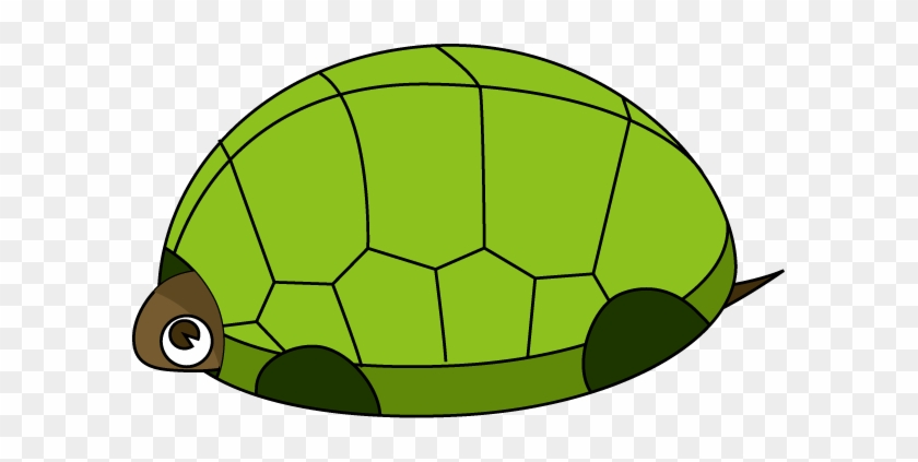 1 - Turtle #178857