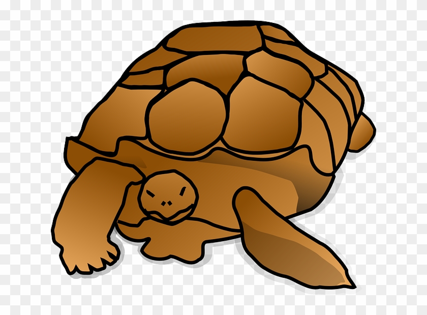 Cartoon Snapping Turtle Png #178892
