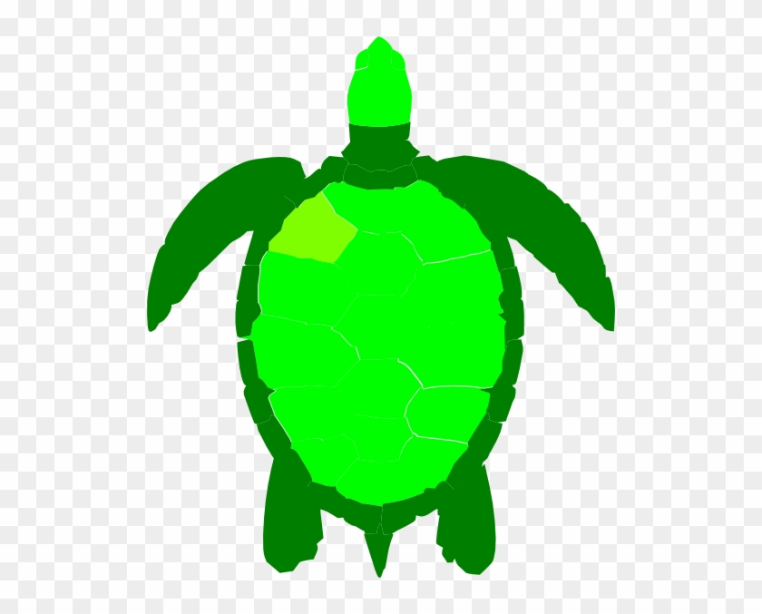 Sea Turtle Clipart - Turtle Clipart Birds Eye View #178899