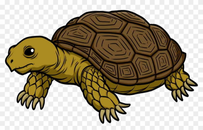 Clip Arts Related To - Tortoise Png #178934