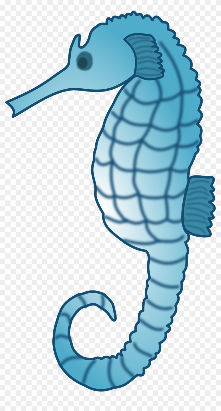 Deep Sea Creature Aquatic Animal Turtle Clip Art - Blue Seahorse Shower Curtain #178955