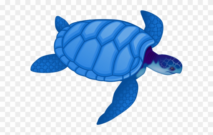 Free Sea Turtle Clipart Image - Sea Turtle Clip Art Blue #178973