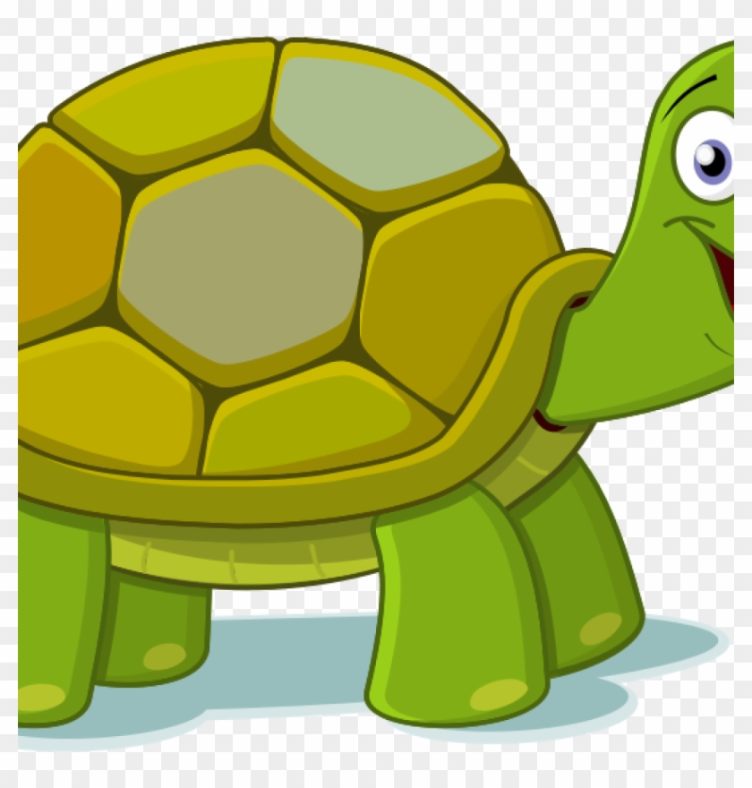 Turtle Clipart Free Free To Use Public Domain Turtle - Tortoise And Hare Clipart #178978