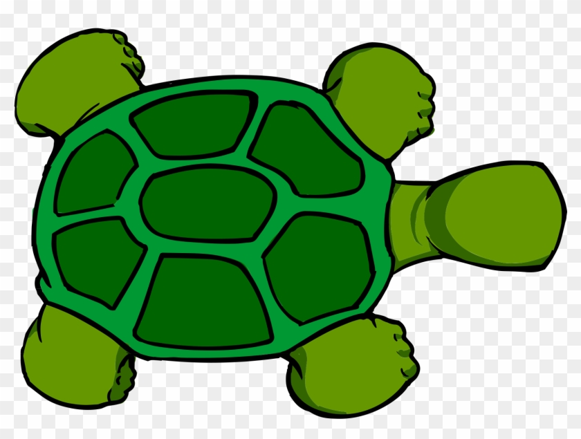 Kturtle Top View - Turtle Cartoon Top View #179032