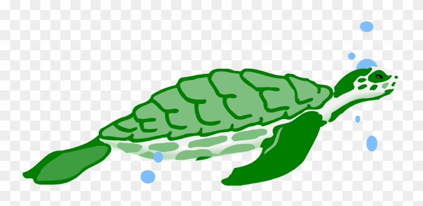 Turtle In Water Clipart - Turtle Water Clipart #179051