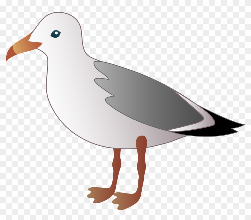 Seabird Clipart - Seagull Clipart #179070