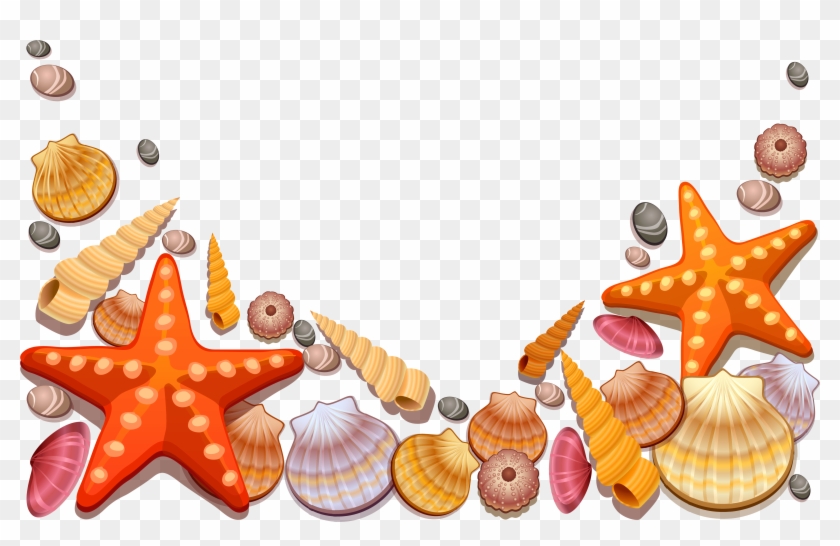 Sea Shells Decor Png Vector Clipart - Sea Shells Shower Curtain #179089