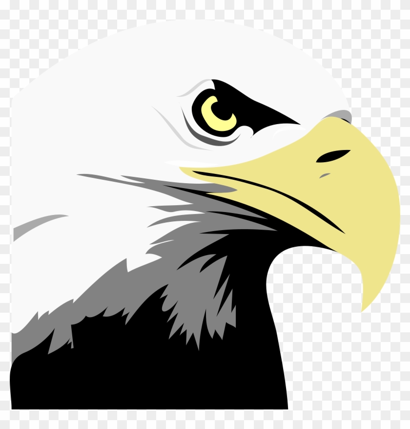 Bald Eagle Head Clip Art - Bald Eagle Clipart #179100