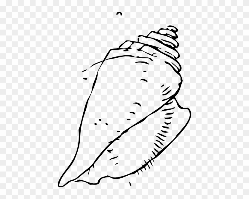 32 Seashells Clip Art Pictures Vector Clipart Graphics - Seashell Clip Art #179124