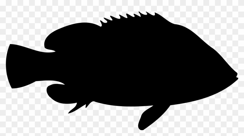 Seaperch - Black And White Perch #179128