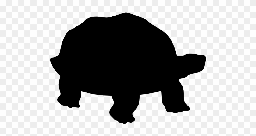 Turtle Silhouette - Turtle Silhouette Png #179129