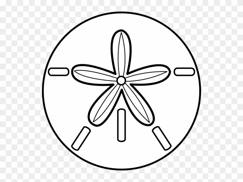 Sand Dollar Clip Art - Sand Dollar Clip Art Black And White #179187