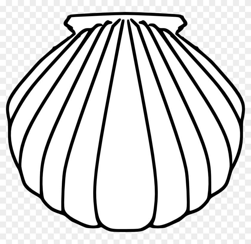 Shell Clipart Pilgrim - Baptismal Shell Clip Art #179234