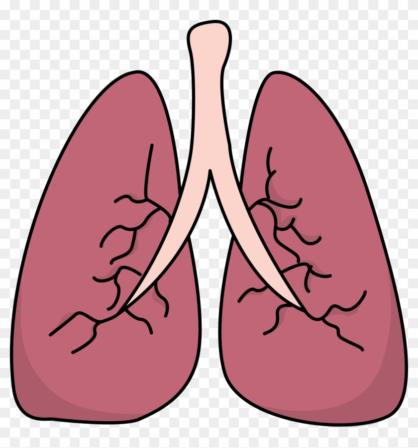Lungs Clipart Arthur S Medical - Clipart Lungs #179273