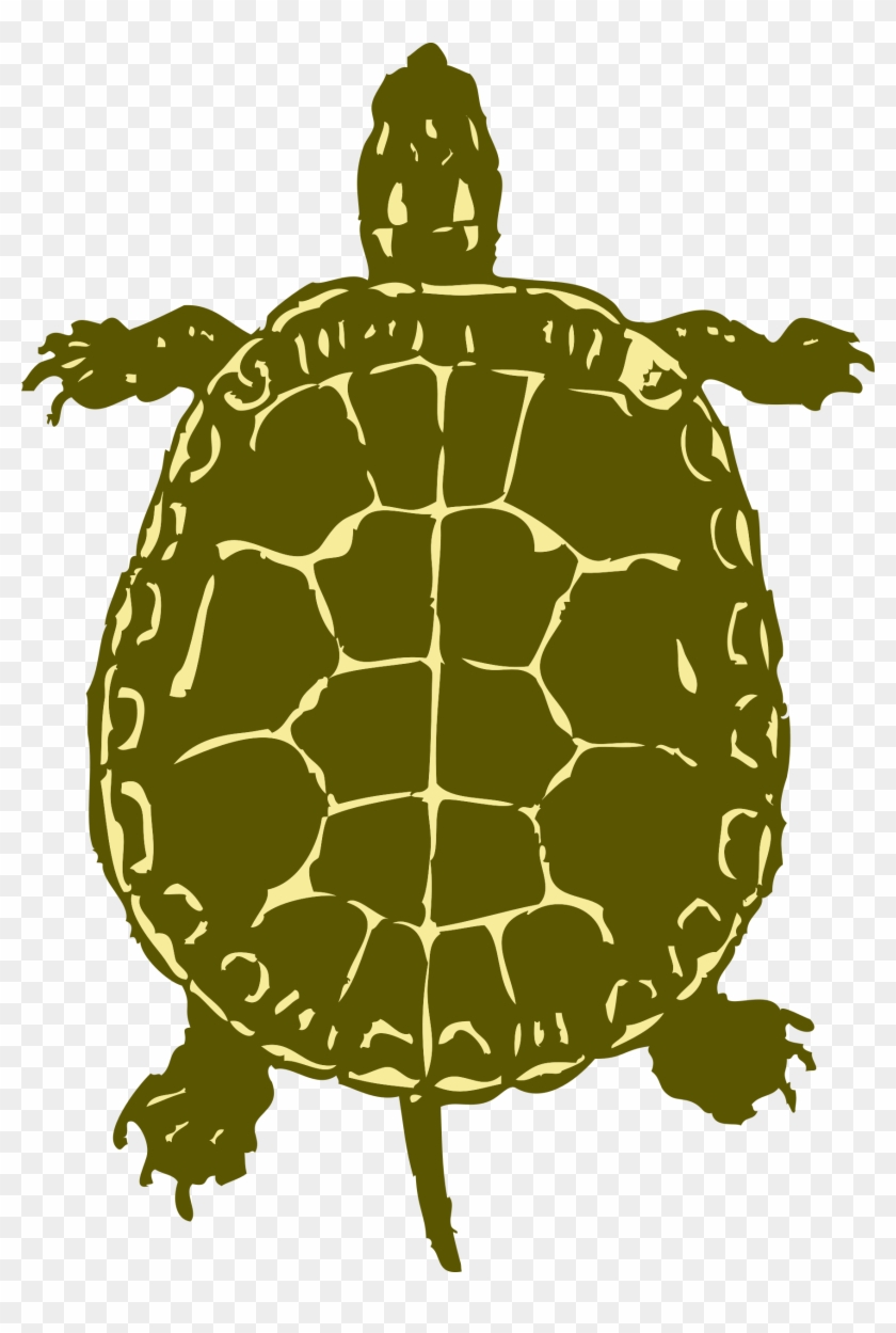 Sea Turtle Clipart Snapping Turtle - Turtle Bird Eye View #179283