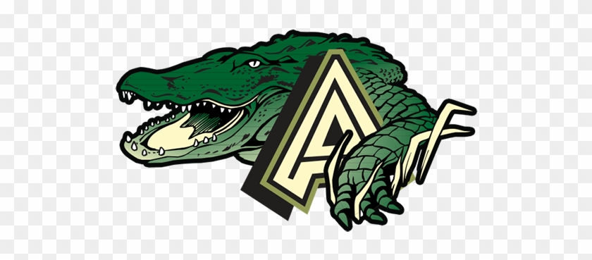 Logo - Alligator Logo #179298