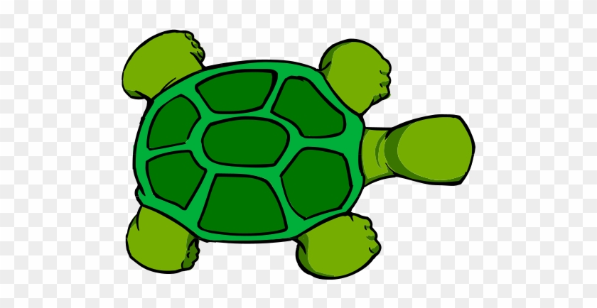 Cartoon Turtle Top View #179308