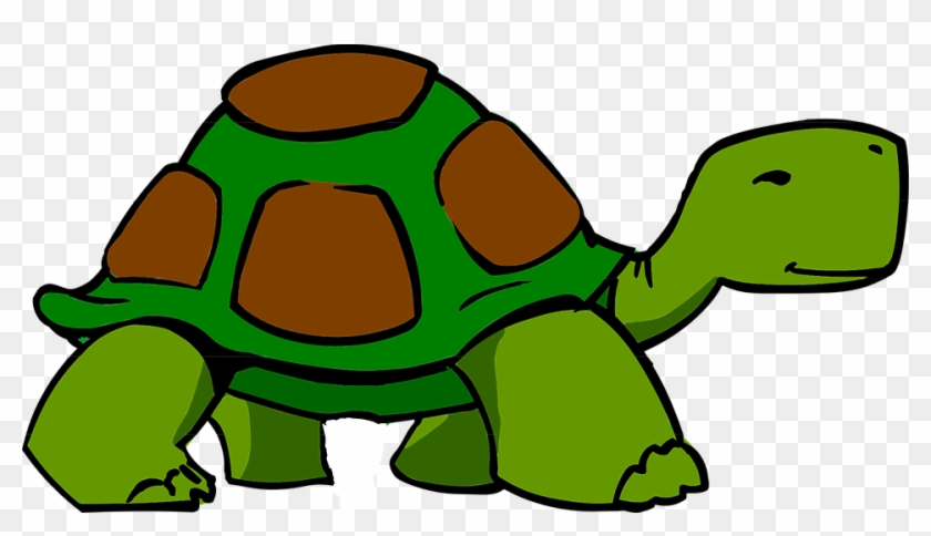 Turtle Brown Green Shell Animal Reptile Sl - Slow Clipart #179313
