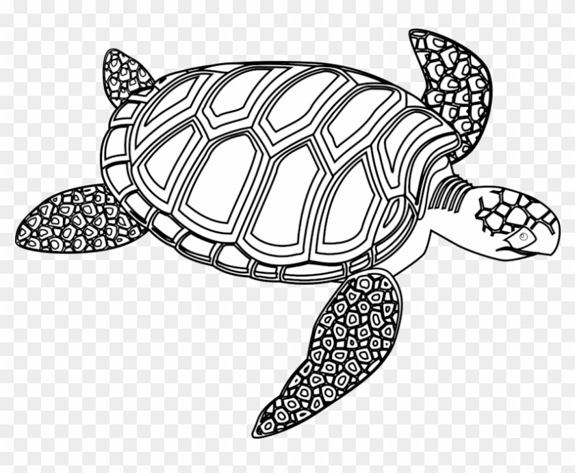 Turtle Black And White - Turtle Black And White #179386