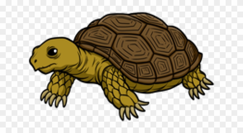 Tortoise Clipart - Tortoise Transparent #179394