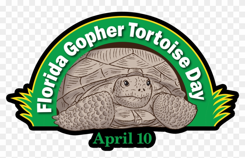 Gopher Tortoise Day - Florida Gopher Tortoise Day #179397