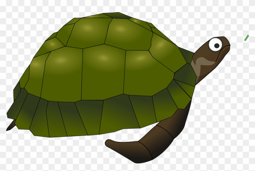 Animal Cartoon Green Sea Turtle Cartoon Tu - Sea Turtle Clip Art #179424