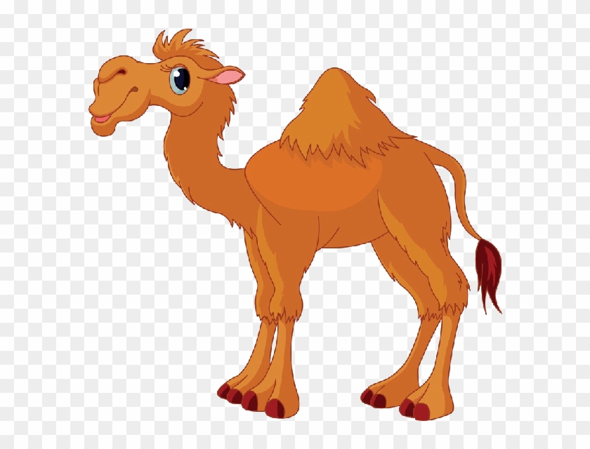 Funny Camel Pictures Clip Art - Camel Clipart #179434