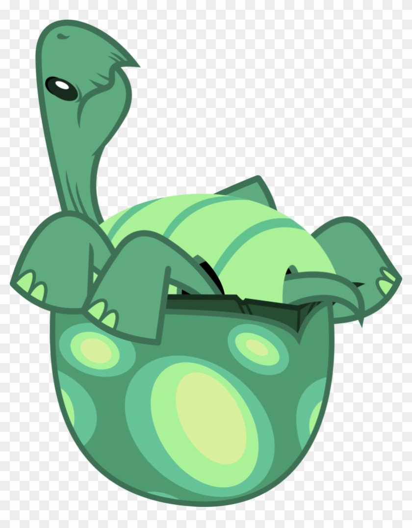 Im A Tortoise And I Can't Get Up By Porygon2z - Tortoise #179435