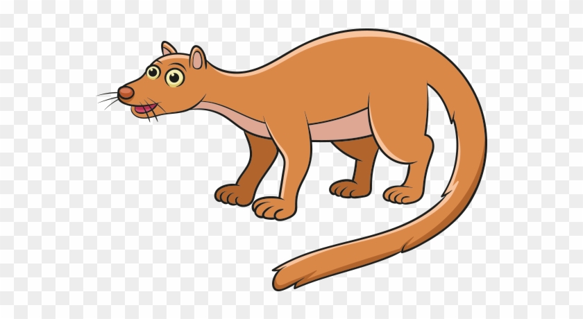 Clipart Fossa Hayvanı - Fossa #179578