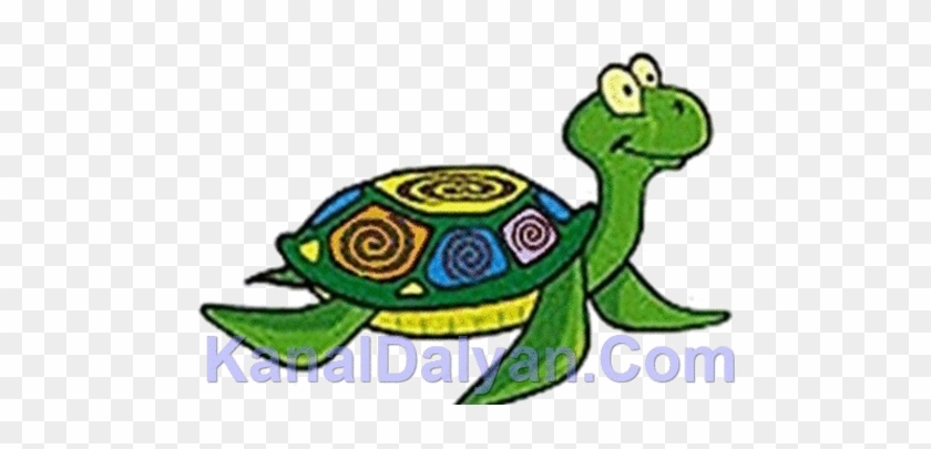 Caretta-caretta - Cartoon #179584