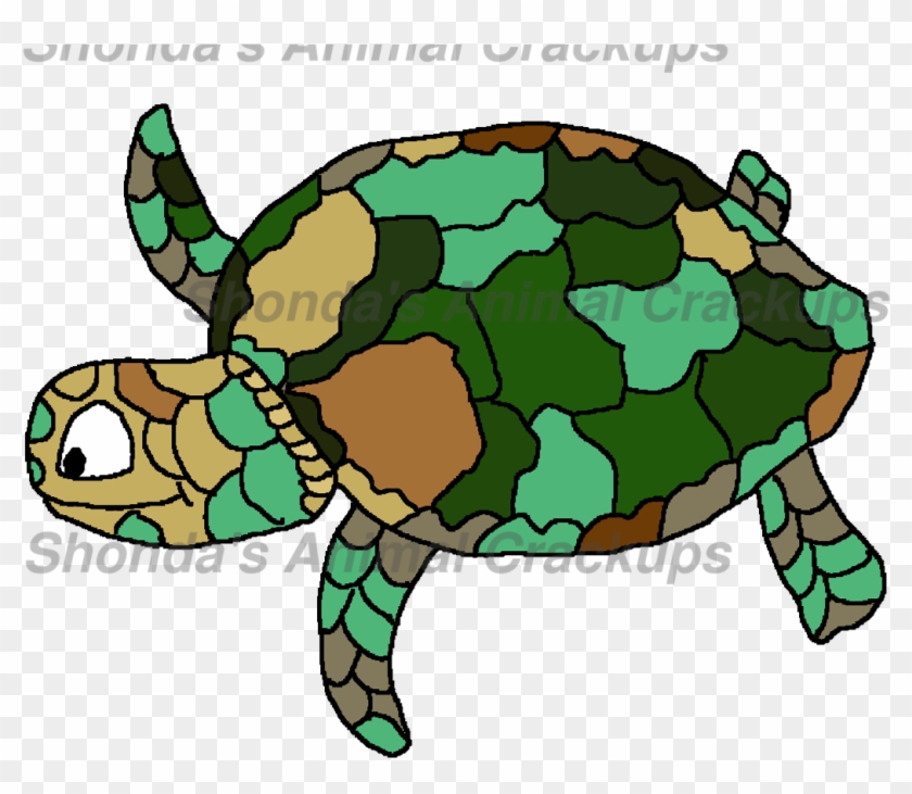 Sr Seaturtle - Sea Turtle #179585