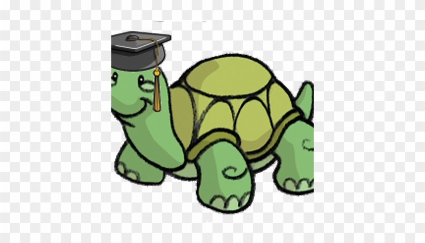 Turtle Academy - Roblox Turtle #179611