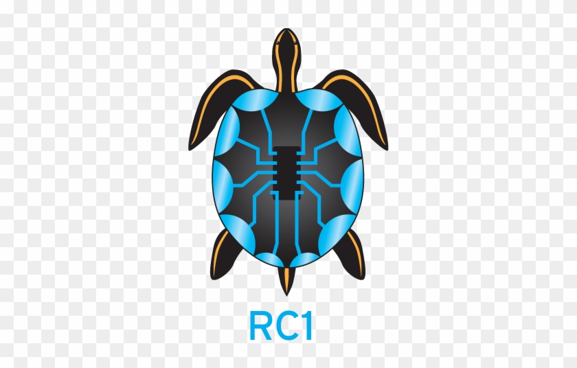Electric Rc1 - Kemp's Ridley Sea Turtle #179619