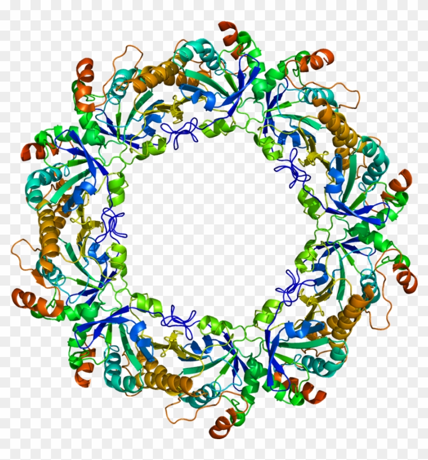 Human Peroxiredoxin 3 Structure #179630