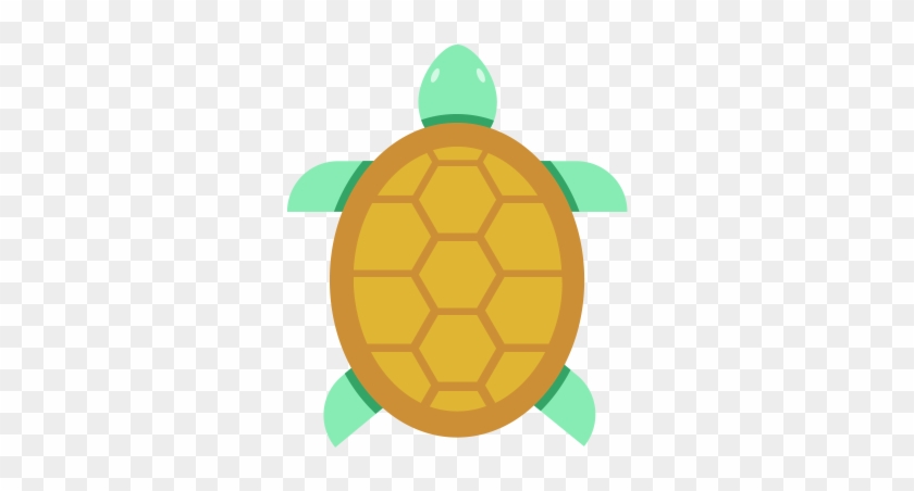 If You're Looking For A Cool And Interesting Pet, Why - Green Sea Turtle #179670