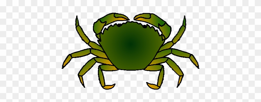 European Green Crab Clip Art #179972
